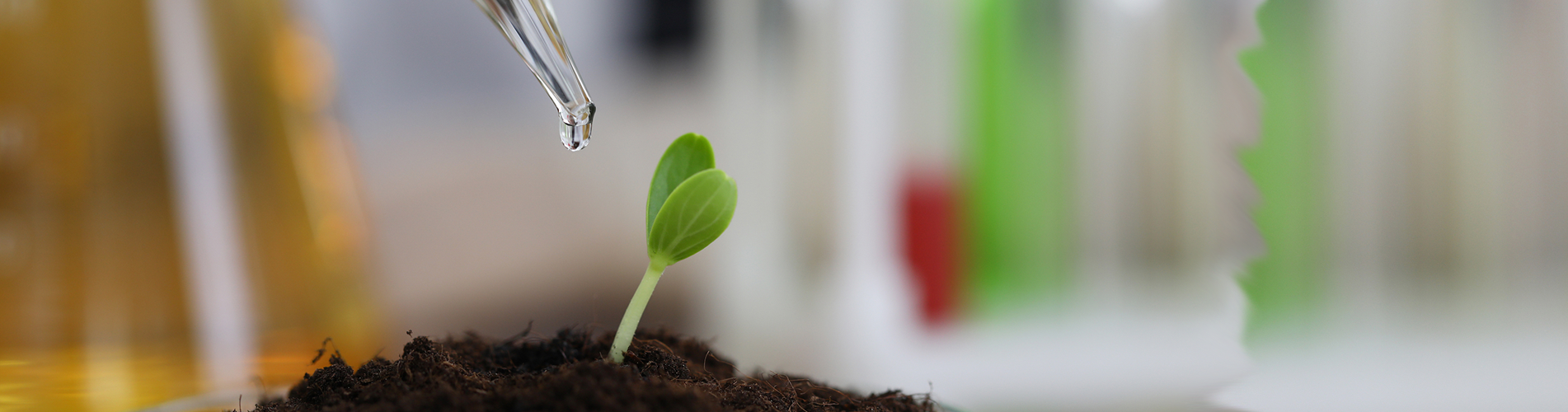 plant-growing-greenhouse-conditions